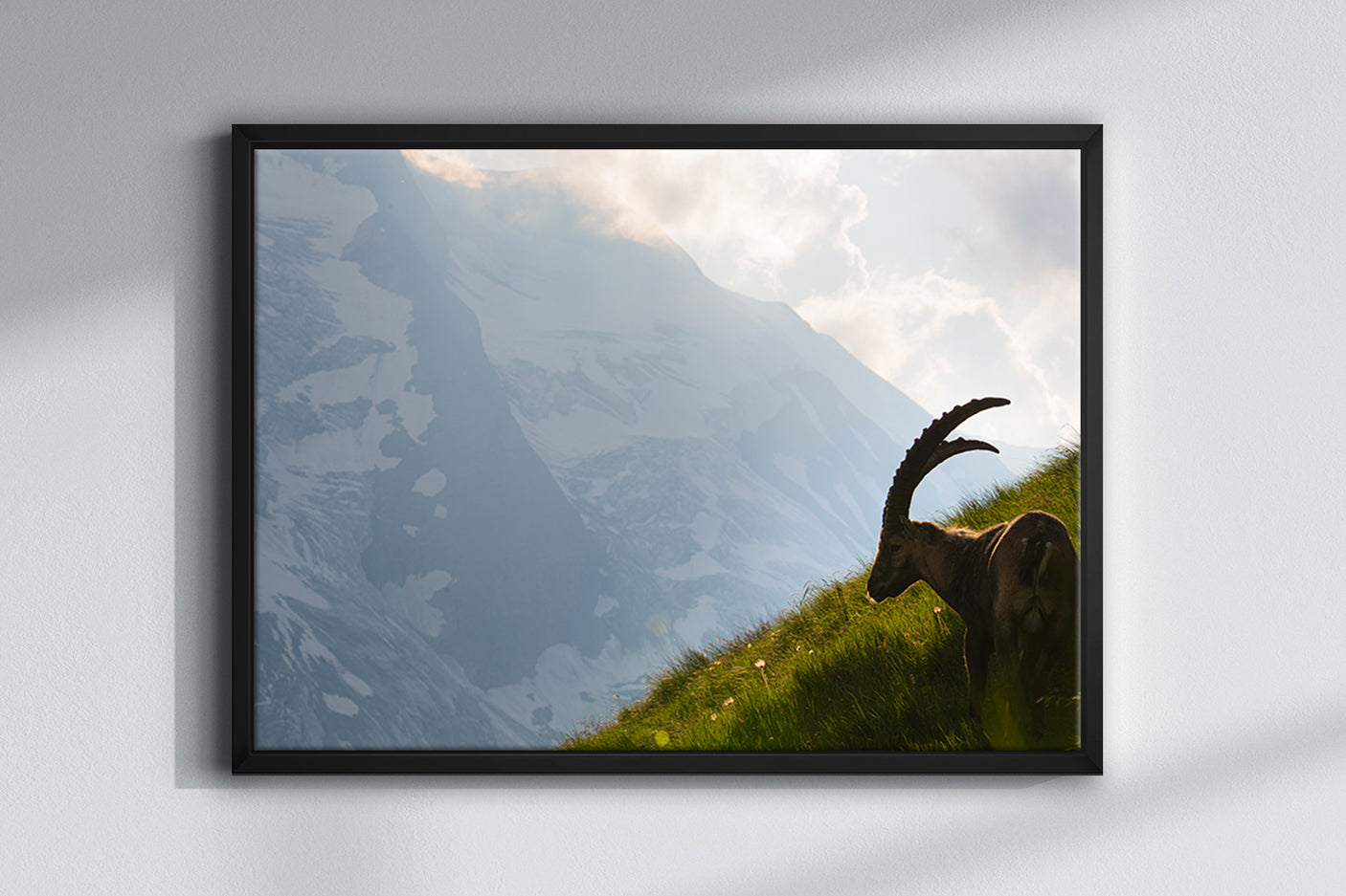 King Of the Alps - Photography Print