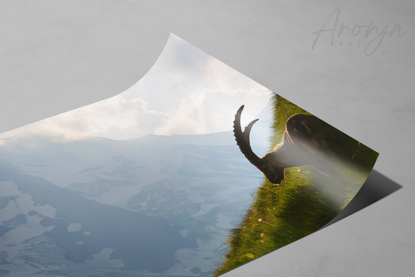 King Of the Alps - Photography Print