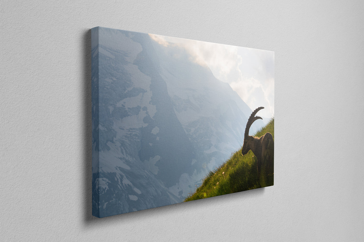 King Of the Alps - Photography Print