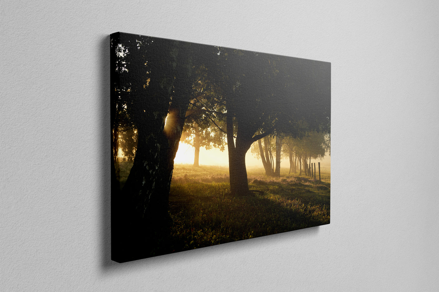 Morning Rays - Photography Print