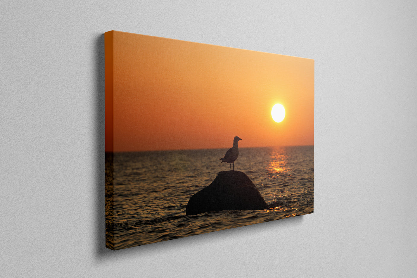 Seagull - Photography Print