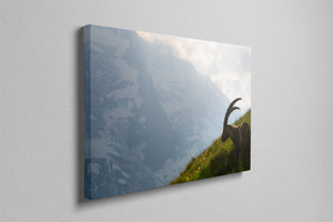 King Of the Alps - Photography Print