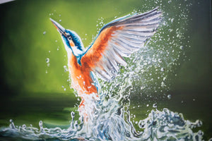 Wings Of Water - Original Oil Painting