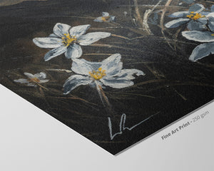 Simbelmyne (Print) art print in blue and white simbelmyne flowers on dark textured background, fine art paper.