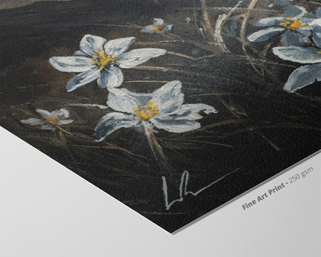 Simbelmyne (Print) art print in blue and white simbelmyne flowers on dark textured background, fine art paper.