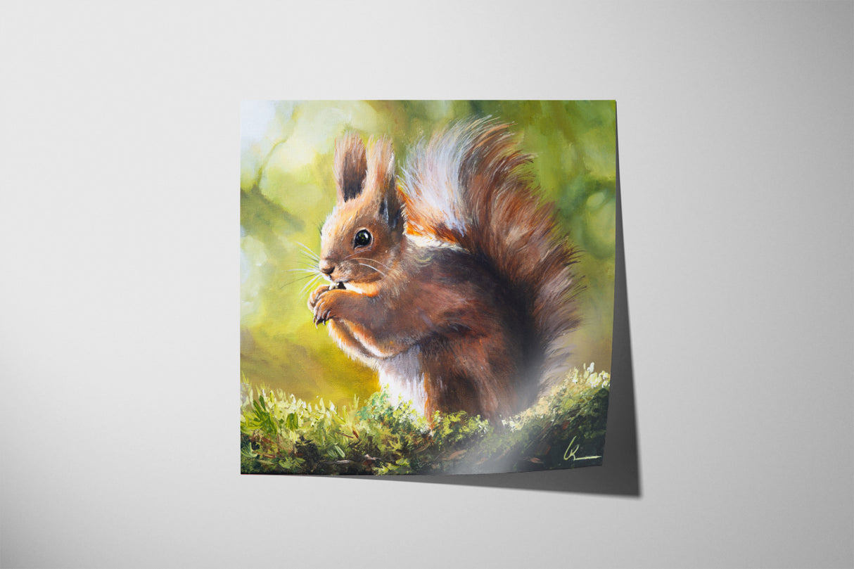 Eichhörnchen - Druck